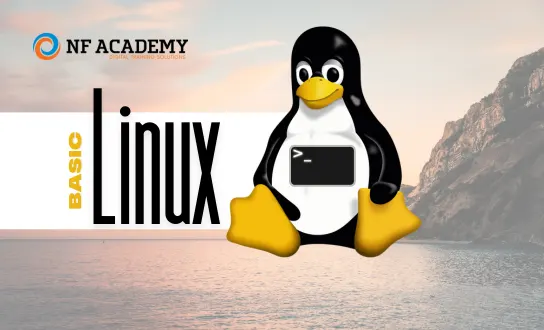 Linux Basic