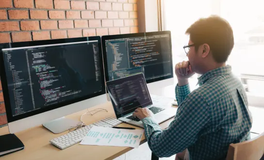 Perbedaan Developer dan Programmer